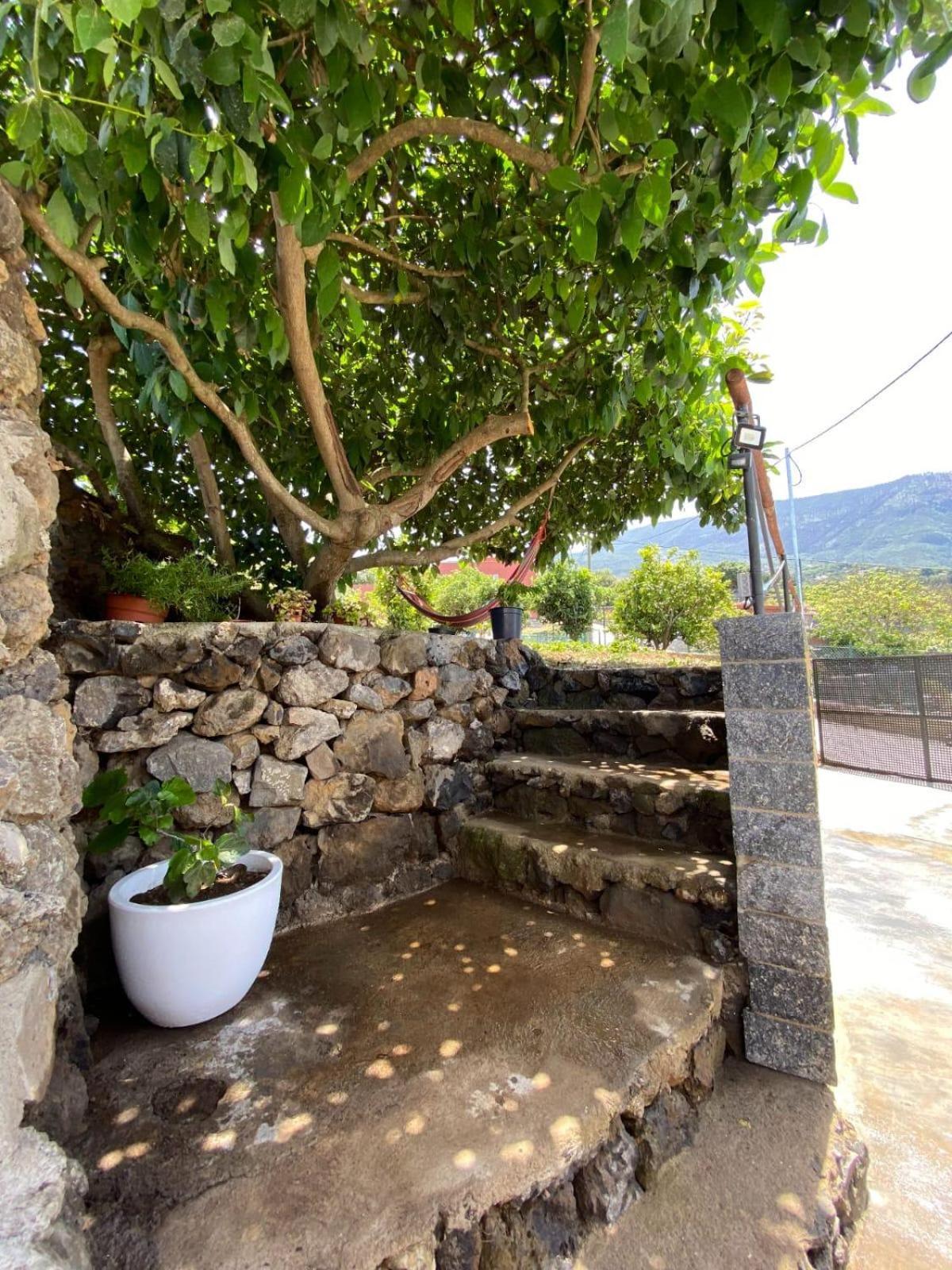 Villa Perejil Realejo Alto Buitenkant foto